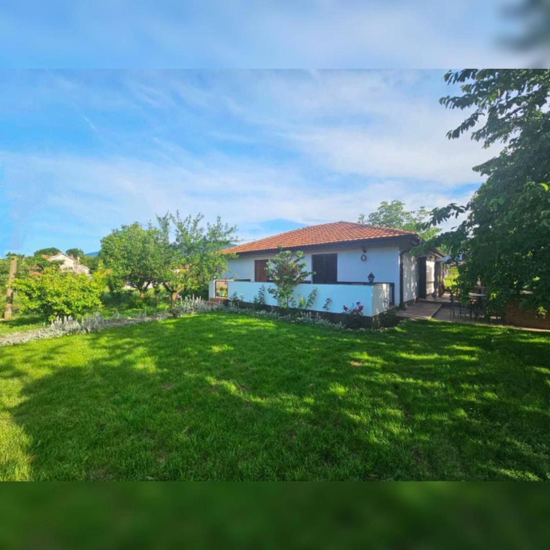 House Milovanovic Soko Banja Exteriör bild