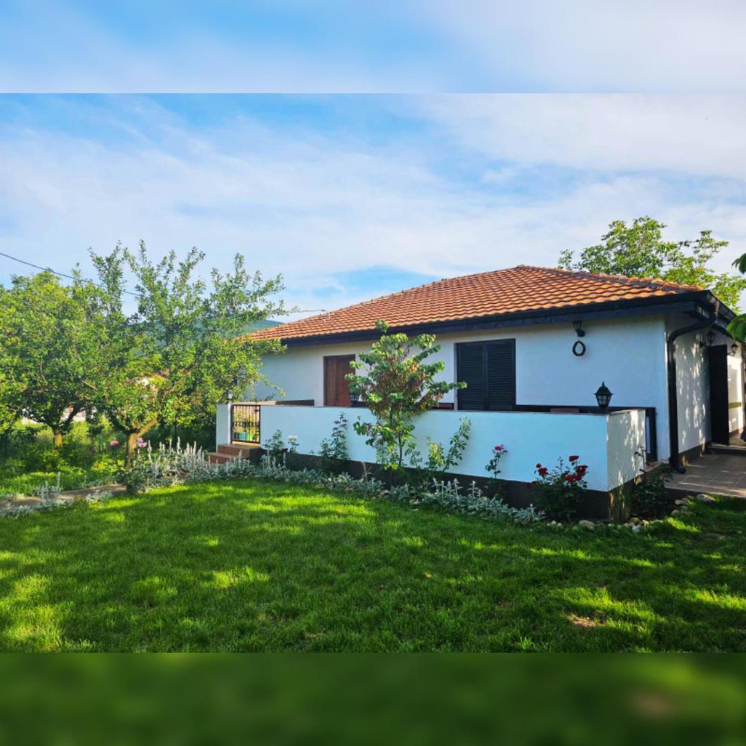 House Milovanovic Soko Banja Exteriör bild