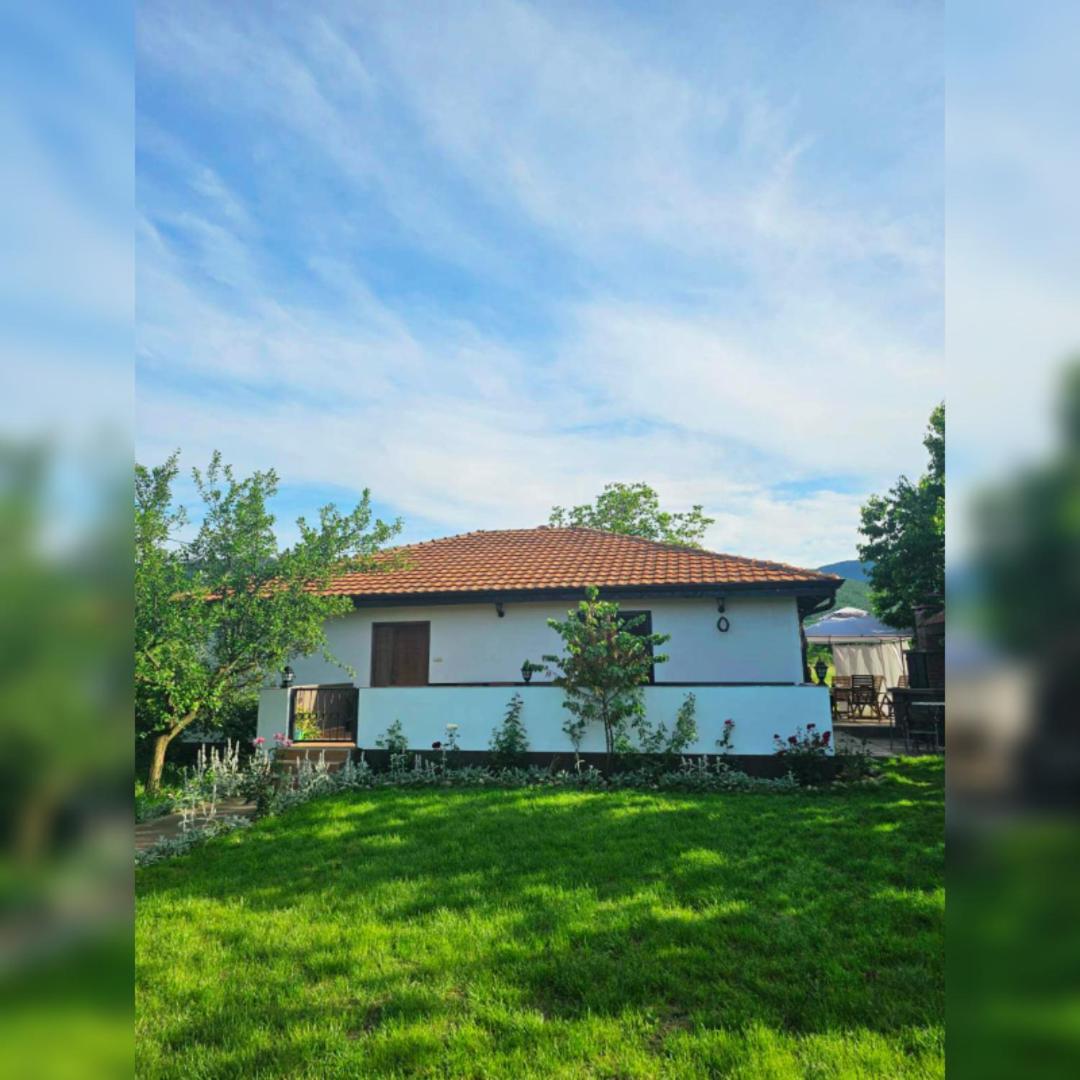 House Milovanovic Soko Banja Exteriör bild